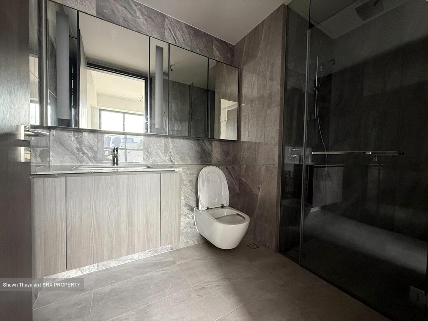 Piccadilly Grand (D8), Apartment #505000151